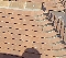Tiling